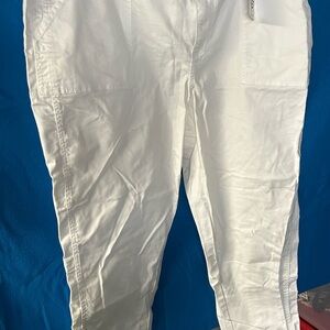 Lane Bryant Genius Fit Pants